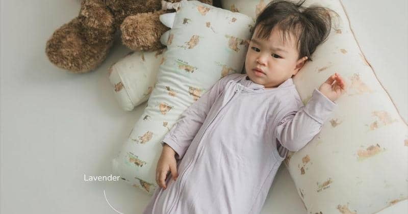 Instagram.com/petitbeary